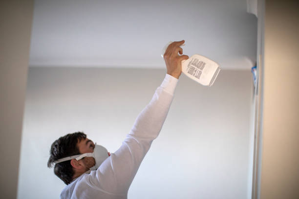 Best Preventive Mold Services in Ephrata, WA