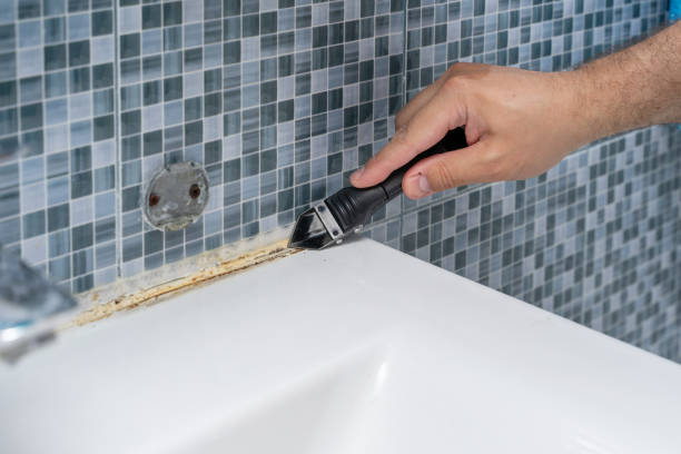 Best Mold Testing and Inspection Services in Ephrata, WA