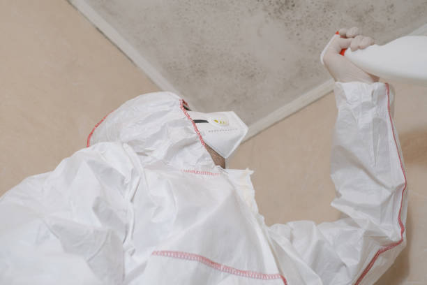 Best Health and Safety Mold Remediation in Ephrata, WA